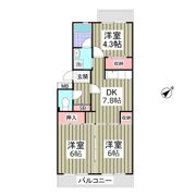 セジュールマンションの間取り画像