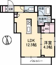 ShaMaison御幸通りの間取り画像