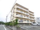 レイクパレス中村B棟の間取り画像
