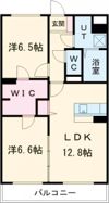 ドムス マーネの間取り画像
