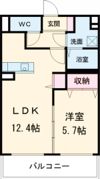 ドムス マーネの間取り画像