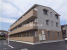 D-room朝日の間取り画像