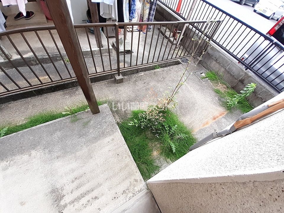 庭