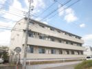グレイスの間取り画像