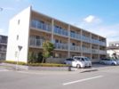 アイリスコート七右衛門の間取り画像