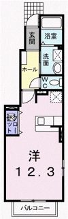 south wellの間取り画像