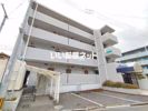 シャトレ三ケ田町の間取り画像