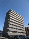 アリオーソフラーゼの外観