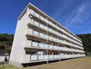 ビレッジハウス本郷なしわ2号棟の間取り画像