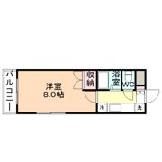 スターコート神通の間取り画像