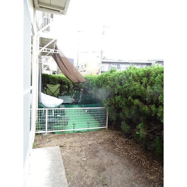 庭