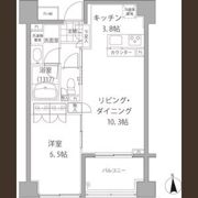 エーデル練馬の間取り画像