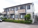 グレイス港町の間取り画像