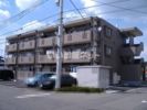 ユーミーフォルテの間取り画像