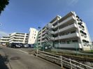 メゾン岸谷の間取り画像