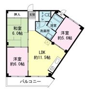 ハイツ御園川の間取り画像