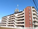 日神パレステージ玉川上水の間取り画像