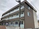 グレイス堀之内の間取り画像