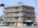コモド清水の間取り画像