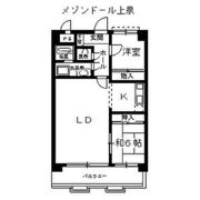 メゾンドール上泉の間取り画像