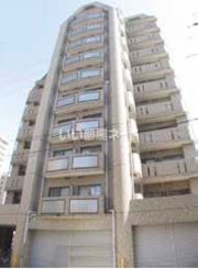 YKハイツ桜町の外観画像