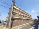 グレース当知の間取り画像
