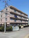 シレンシオ パティオの間取り画像