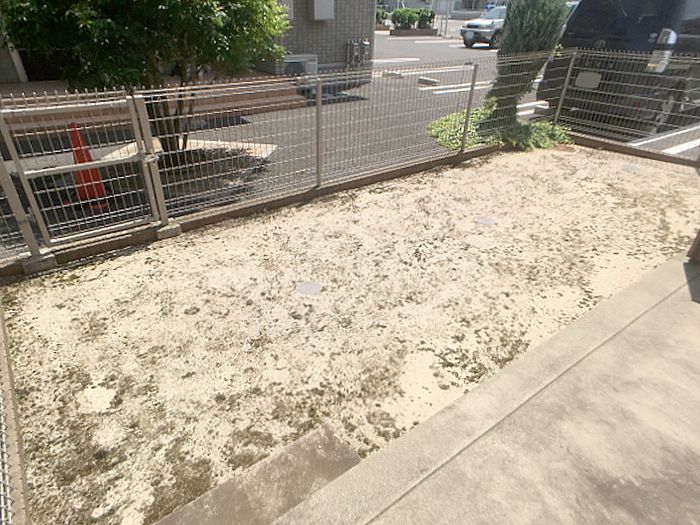 庭