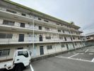 第1山本ハイツの間取り画像