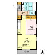 アネシスの間取り画像