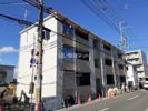 グレイスの間取り画像