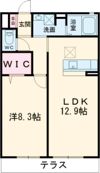 シャーメゾン千鳥の間取り画像
