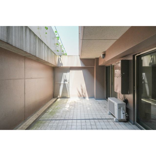 庭