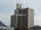 風異音素の外観