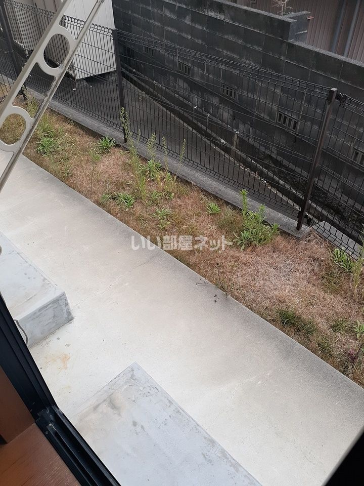 庭