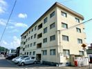 細澤マンションの間取り画像