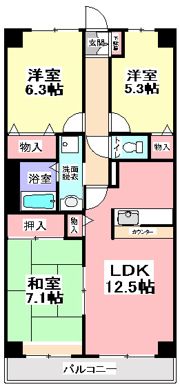 セザン・白山の間取り画像