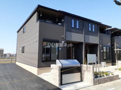 セロリAの外観画像