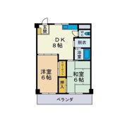 パレス大井の間取り画像