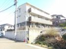 ヒルズ ガーデン B棟の間取り画像