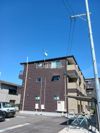 コンテⅢ 祇園の間取り画像