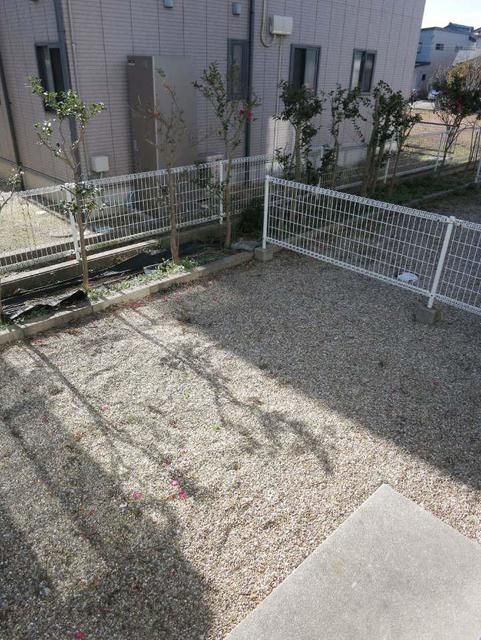 庭
