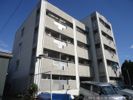 ガーデンコート平針の間取り画像