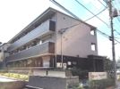 プレシャスガーネットの外観