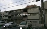 セレーフィアの間取り画像