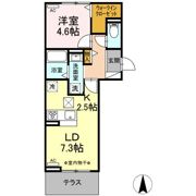 ラフィネの間取り画像