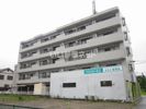 フェニックス北末広の間取り画像