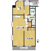 ベルニシキS棟の間取り画像