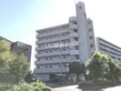 野路一番館の間取り画像