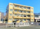 ハイネス吉原の間取り画像